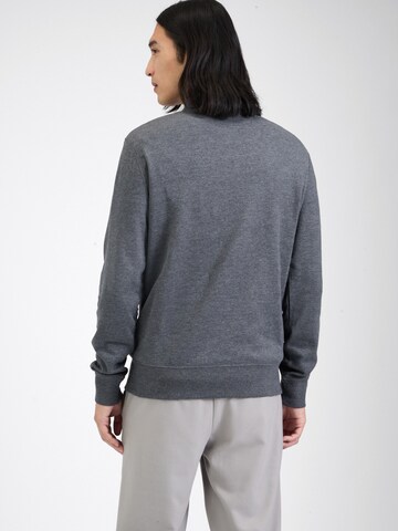 Polo Ralph Lauren Sweatshirt in Grau