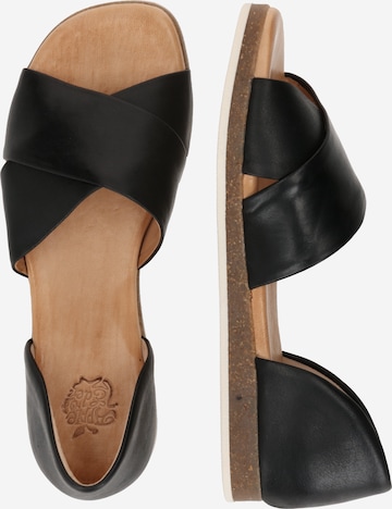 Apple of Eden Sandals 'CELINE' in Black