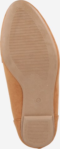 Dorothy Perkins Slipper 'Laurel' – hnědá