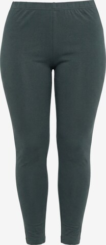 Ulla Popken Leggings in Green: front