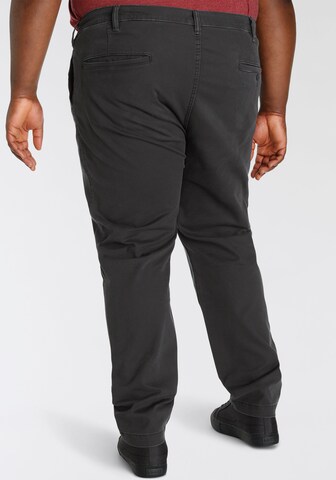 Levi's® Big & Tall Tapered Chino Pants 'XX STD Tapered Chino B&T' in Black