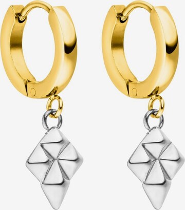 PURELEI Earrings 'Kudos' in Gold: front