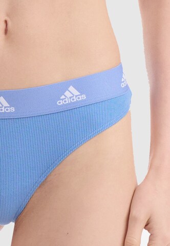 ADIDAS SPORTSWEAR Athletic Underwear ' Thong ' in Blue