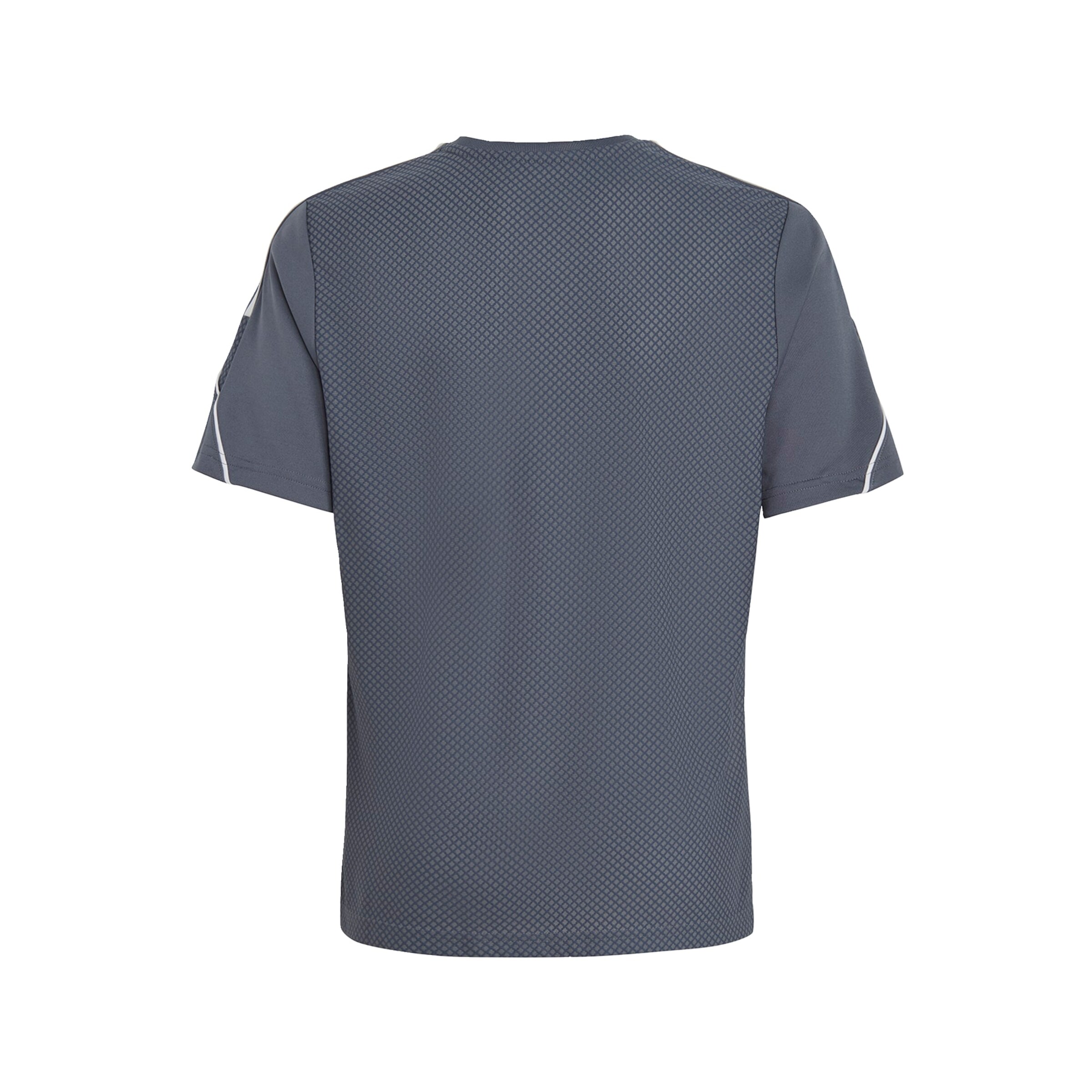 ADIDAS PERFORMANCE Regular Functioneel shirt 'Tiro 23 League' in Grijs