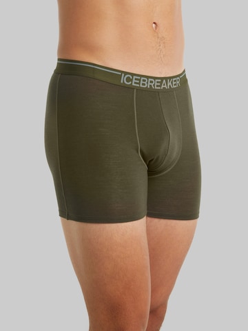 ICEBREAKER - Calzoncillo deportivo 'Anatomica' en verde: frente