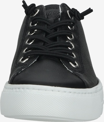 Sneaker bassa di Paul Green in nero