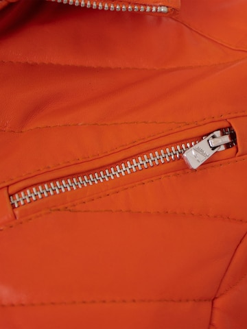 Jilani Between-Season Jacket 'Kova' in Red