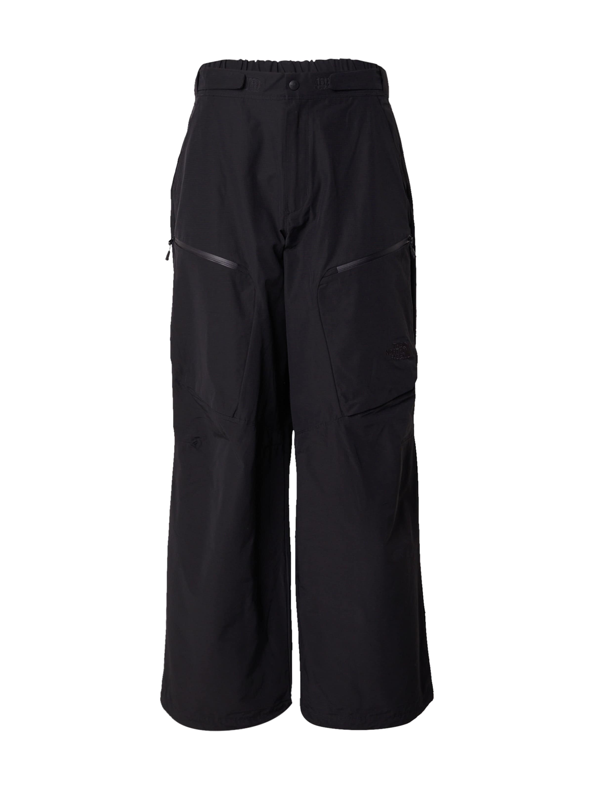 THE NORTH FACE Свободный крой Штаны 'NSE' в Черный: спереди