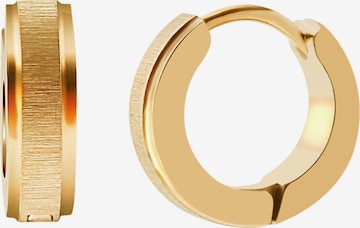 Akzent Earrings 'Alisha, langlebig' in Gold: front