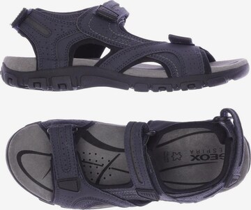 GEOX Sandals & Slippers in 42 in Blue: front