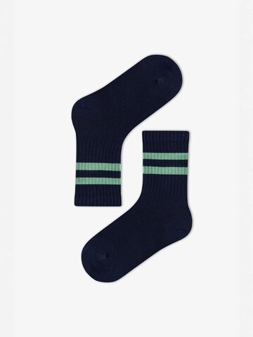 Penti Socken 'PENTI Jungen Greeny gestreifte Paar Socken'‌‌‌‌ in Mischfarben