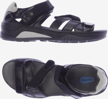 Wolky Sandals & High-Heeled Sandals in 38 in Black: front