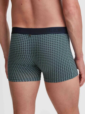 Boxers 'Focus Trend' CALIDA en vert