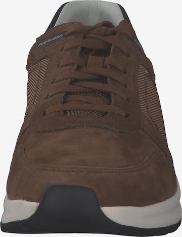 Pius Gabor Sneakers 'Pius' in Brown