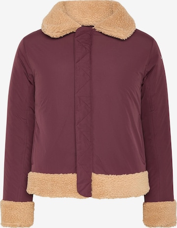 Born Living Yoga Winterjas 'Umiko' in Beige: voorkant