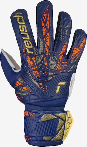 REUSCH Athletic Gloves 'Attrakt Grip' in Mixed colors