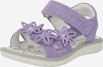 PRIMIGI Sandals in Purple: front