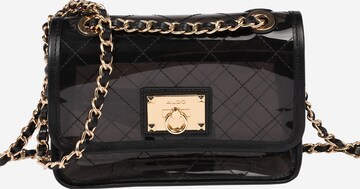 ALDO Crossbody Bag in Black