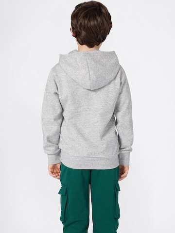 Champion Authentic Athletic Apparel Sweatshirt i grå