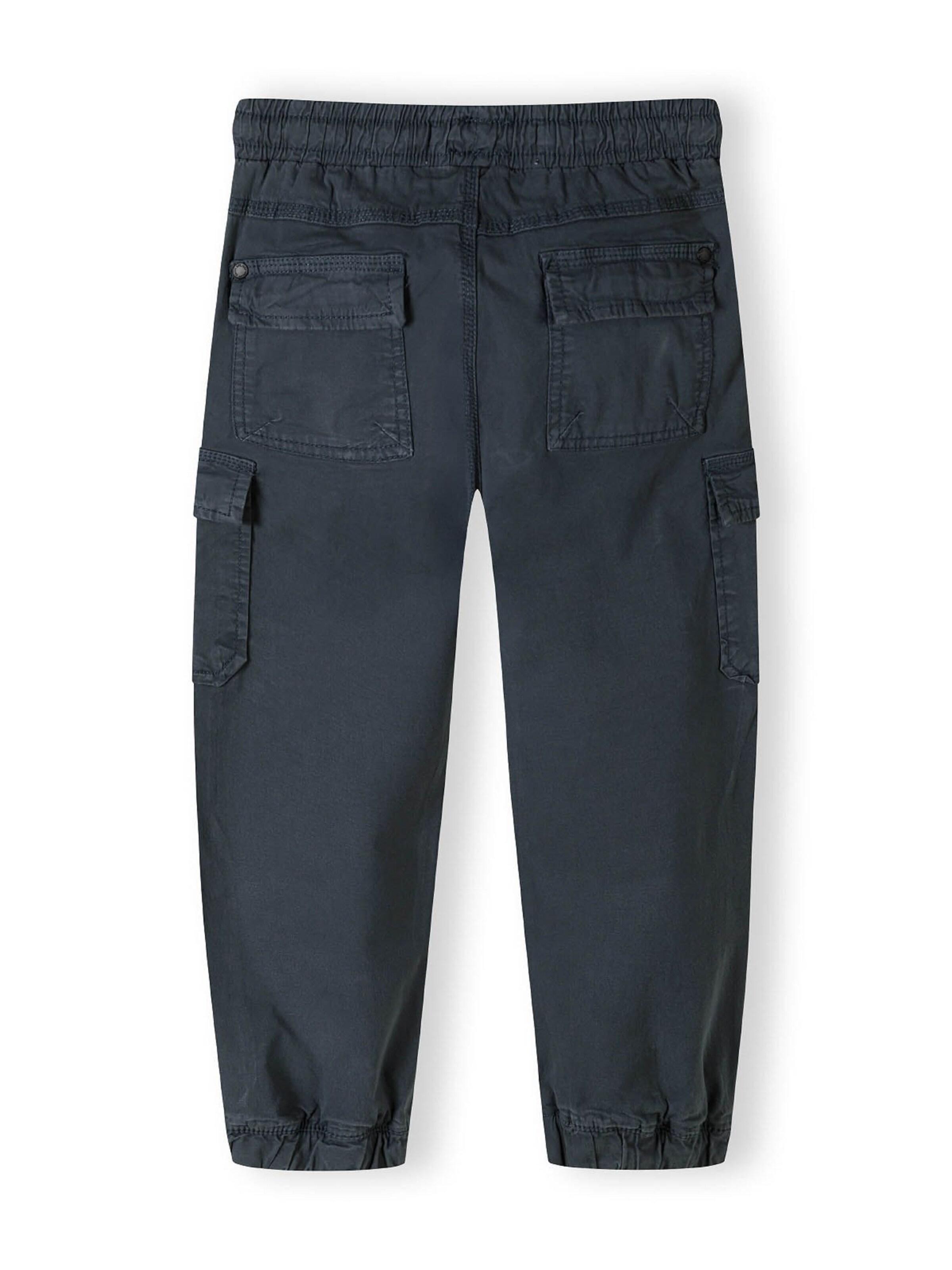 MINOTI Regular Trousers in Blue