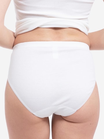 SPEIDEL Slip 'bio.cotton Sport Edition' in White