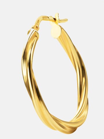 DIAMANT LETERNEL Earrings in Gold: front