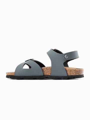 Bayton Sandal 'Pegase' in Grey