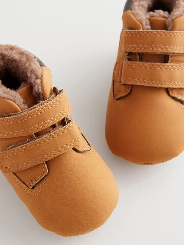 Next Newborn in Bruin