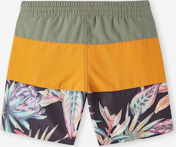 O'NEILL Board Shorts in Mixed colors