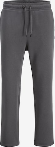 Pantalon JACK & JONES en gris : devant