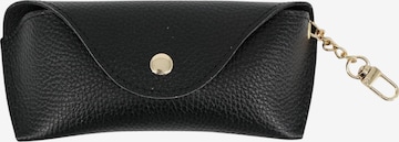 Brise Case 'Brillenetui' in Black: front