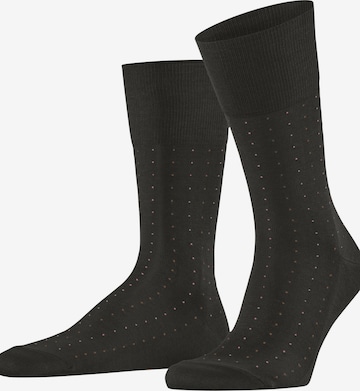 FALKE Socks 'Tiago Dotted Line' in Brown: front
