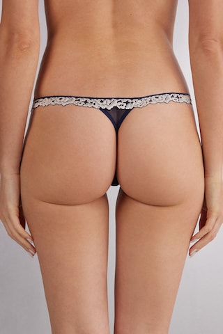 INTIMISSIMI Thong in Blue