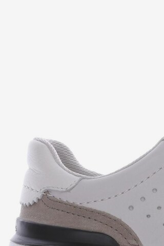 CLARKS Sneaker 42 in Weiß