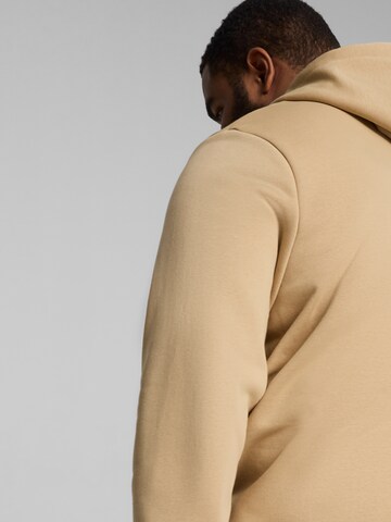 PUMA Athletic Sweatshirt 'ESS' in Brown