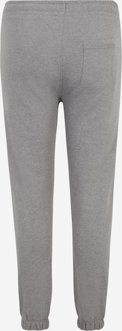 Effilé Pantalon GANT en gris