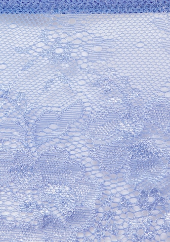 LASCANA Regular Boyshorts in Blue