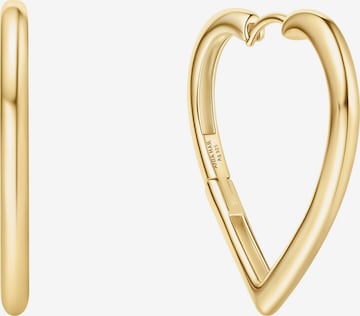 ANIA HAIE Earrings in Gold: front