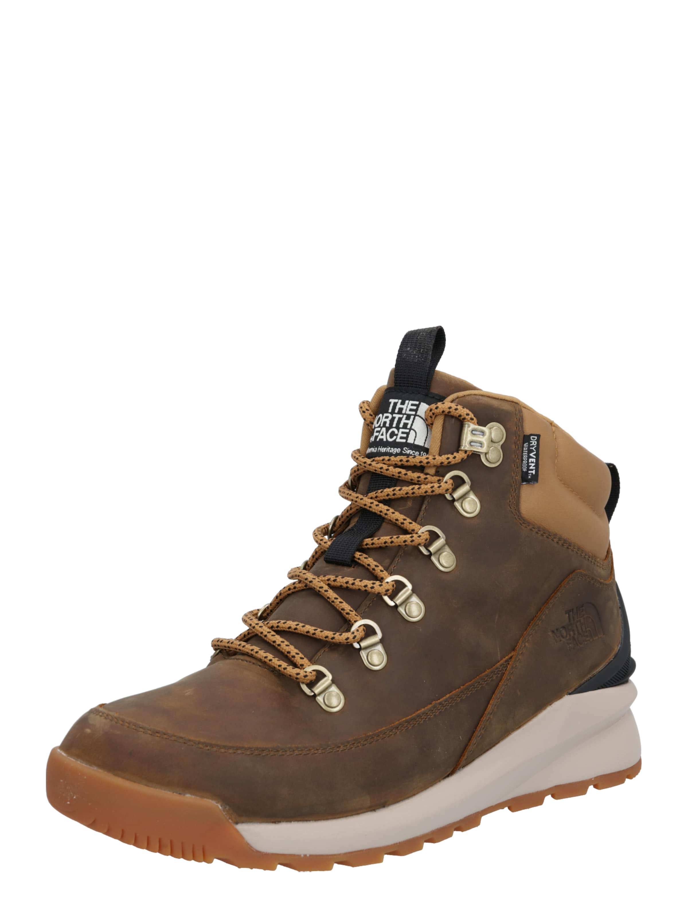 boots the north face