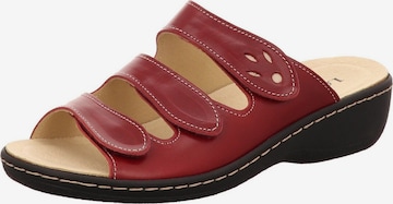 Mule 'Pantolette Damen 1006394 Rauleder in rot' Longo en rouge : devant