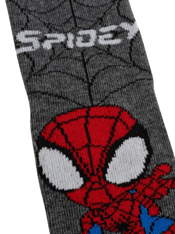 SPIDERMAN Socken 'Spidey'‌‌‌‌‌‌‌‌ in Mischfarben