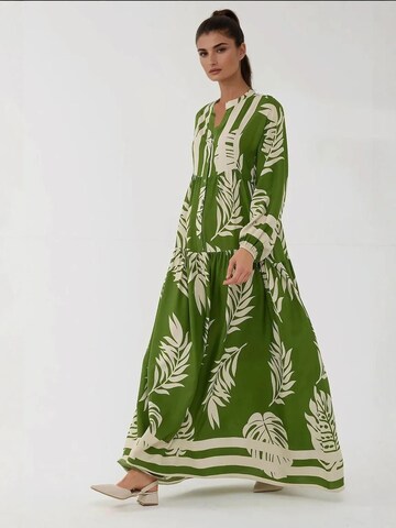 Hiccup Kleid in Grün