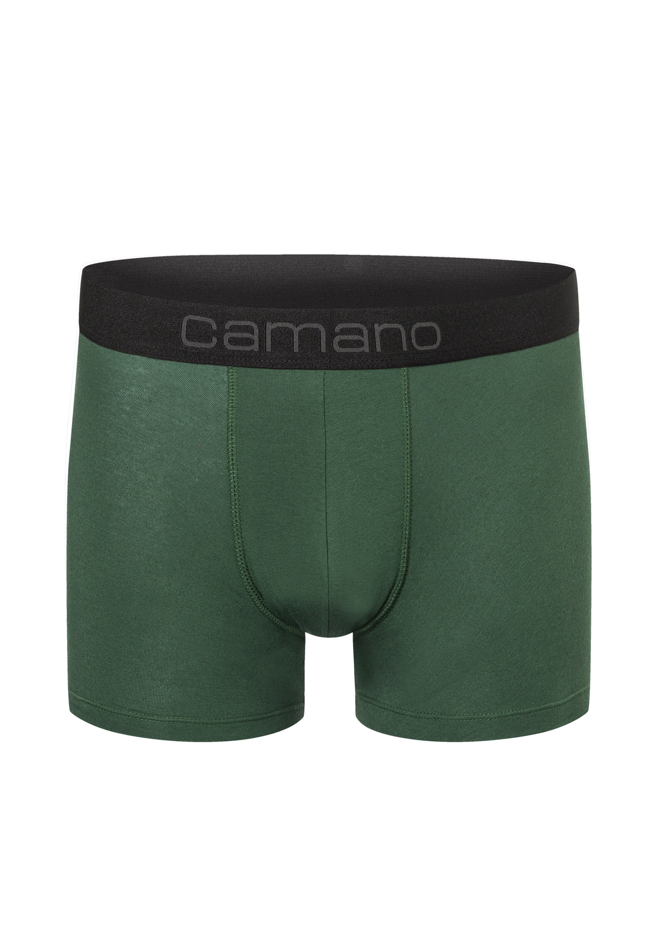 camano Boxershorts in Grün