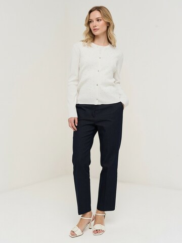 Camomilla Italia Regular Trousers in Blue