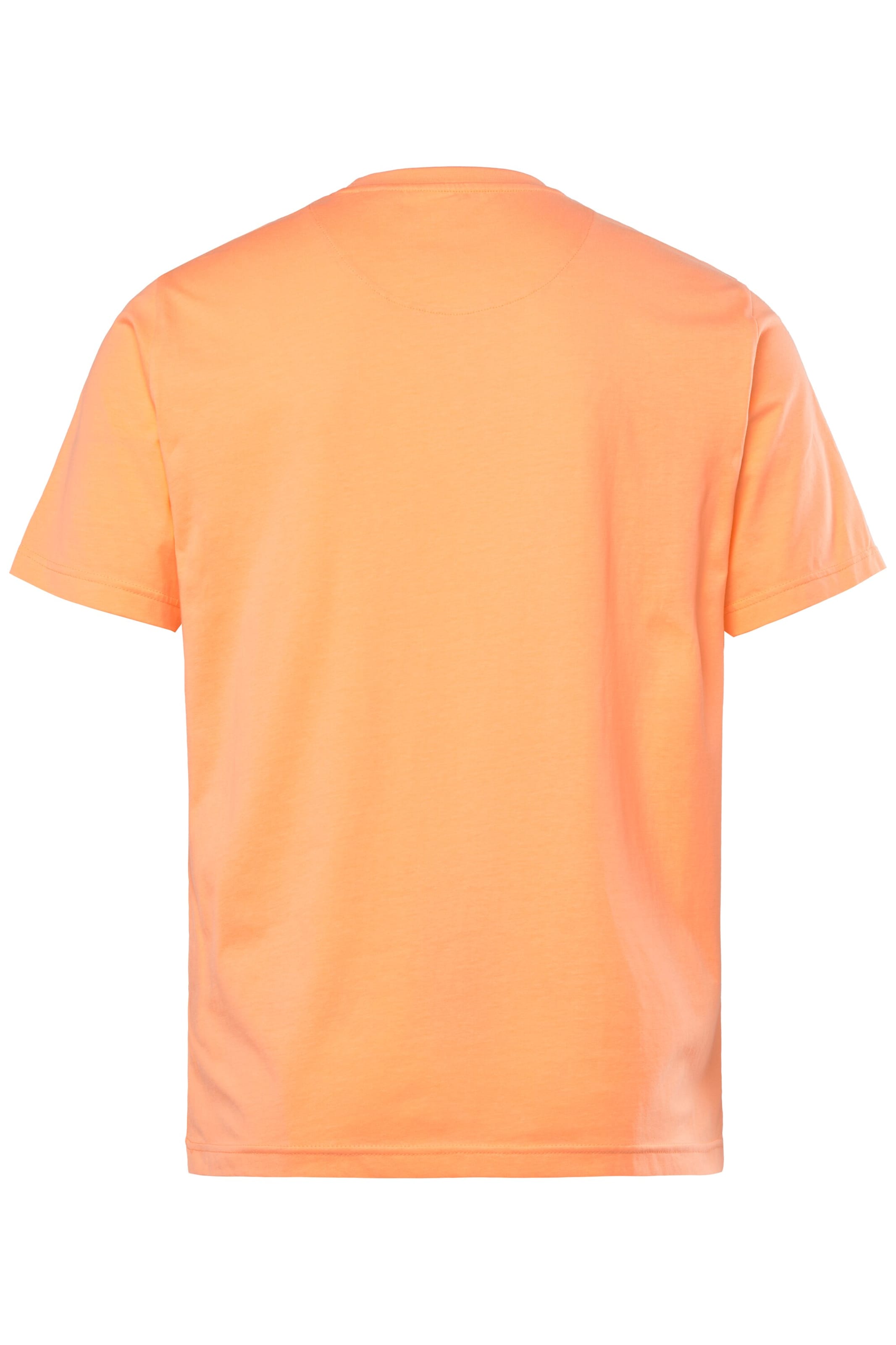 Men Plus T-Shirt in Orange