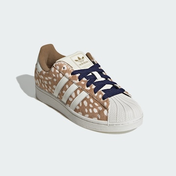 ADIDAS ORIGINALS Σνίκερ χαμηλό 'Superstar II' σε καφέ