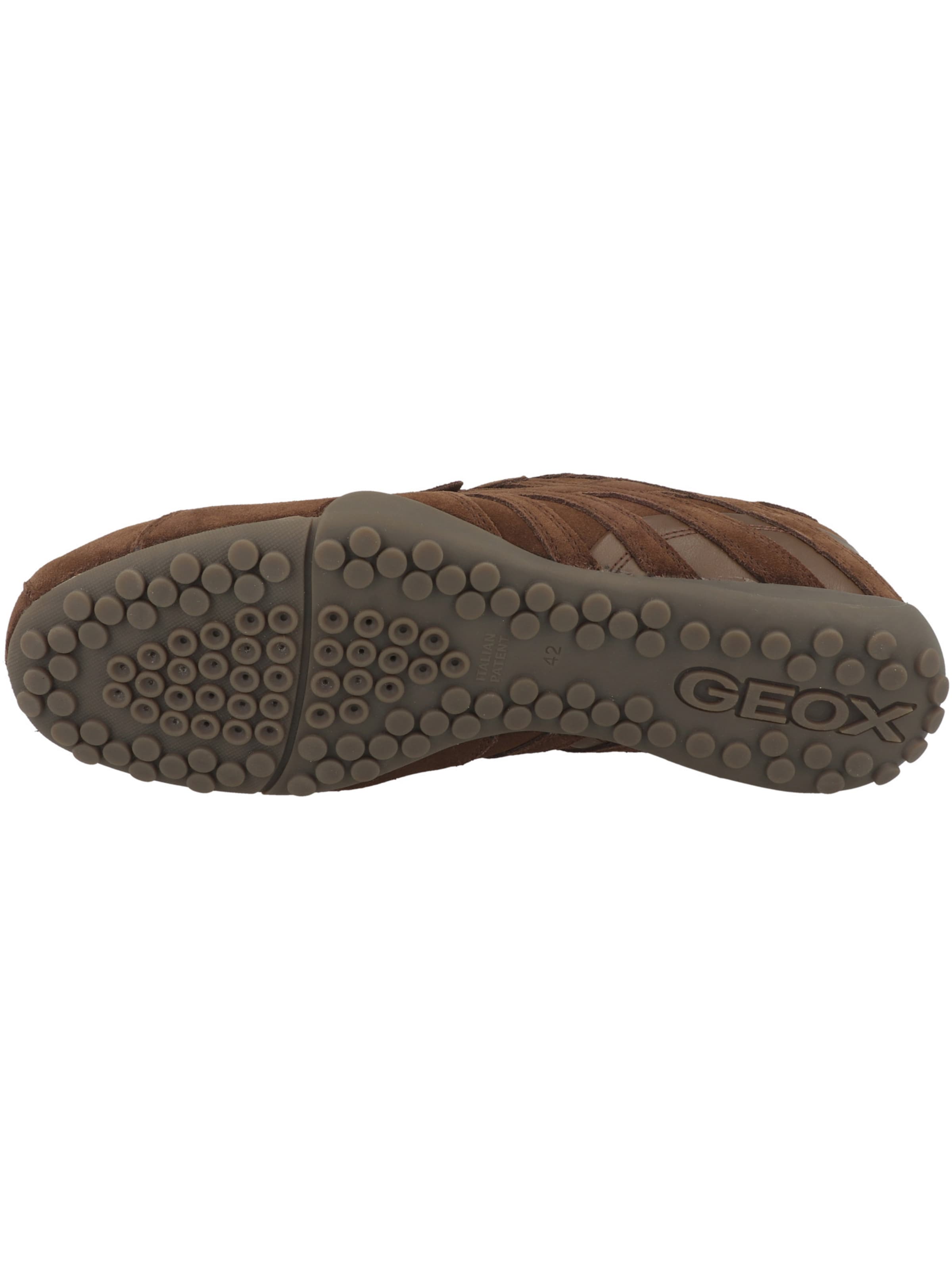 GEOX - Sapatilhas baixas em castanho