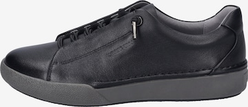 JOSEF SEIBEL High-top trainers 'Claire 24' in Black: front