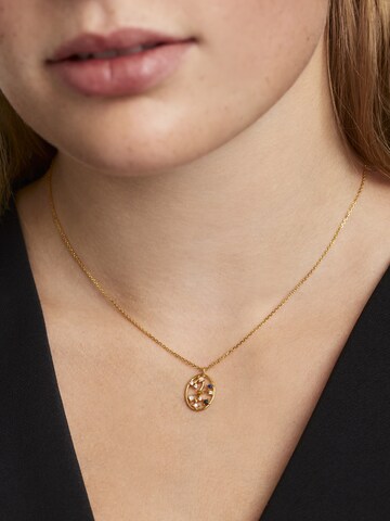 P D PAOLA Ketting 'Sagitarius' in Goud: voorkant