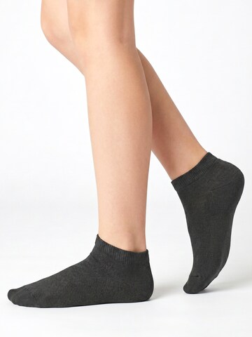 footstar Socken 'EVERYDAY! Kinder'‌ in Grau